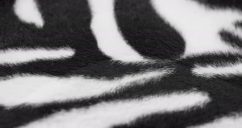 Close Up Zebra Print Fabric Texture