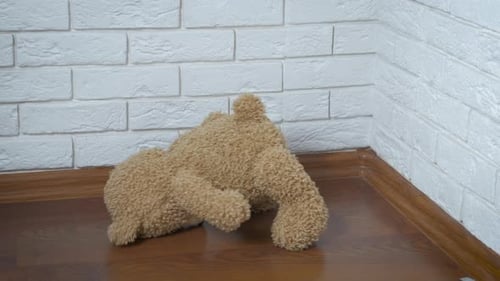 Abandoned teddy bear.