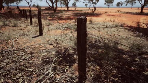 Barbed Wire Fence in Dry Outback Landscape