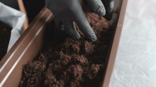 Close Up Womans Hands Putting Ground or Soil Into the Pot for Planting Plants on the Balcony
