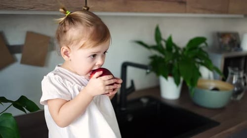 Cute Child Eating an Apple in the Kitchen