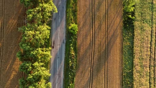Aerial Drone View Flight Over Asphalt Road with Green Trees