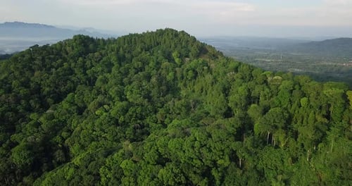 aerial drone view of land in tropical country in the morning. variety of plants and vegetation. Gree