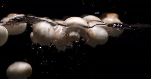 Fresh Mushrooms Fall Under Water with Air Bubbles.