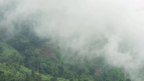 Fluffy fog cloud flowing on natural forest mountain from time lapse sunrise cloudy sky on morning