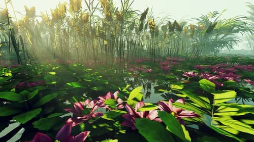 Swamp With Flowers And Reeds