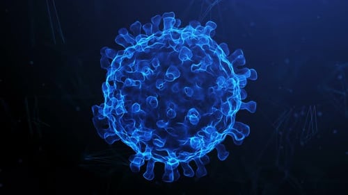 Coronavirus 2019-nCoV im Elektronenmikroskop