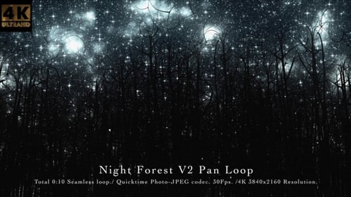 Casserole Night Forest V2