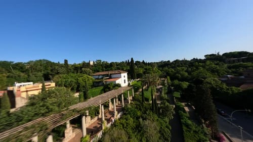 Drone Shot Flying Through the Green Sunny Park Around Palms and in to the Hole