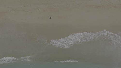 Waves Roll on the Sandy Shore