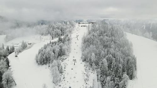 Aerial View of a Beautiful Winter Landscape with Snowy Green Coniferous Forest