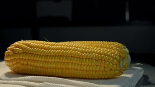Close Up of Fresh Bright Yellow Corn