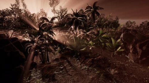 Tropical Jungle Scene with Sun Rays Animation Loop