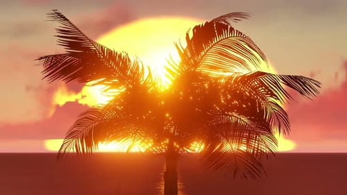 Palm Tree on Small Island