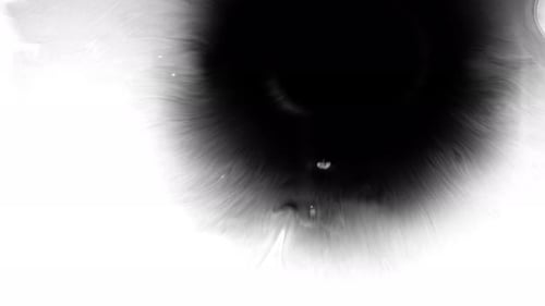 Abstract Ink Bloom on White Background