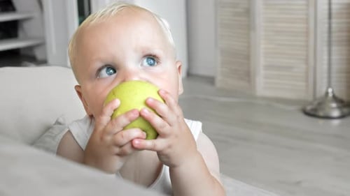 Sweet Blond-haired Baby Eating Green Apple