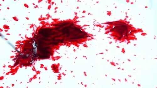 Red Ink Drops On The Wet Papper