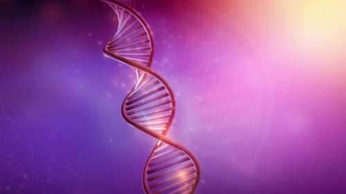 Bunte Animation der DNA-Rotation