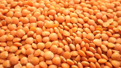 Close Up of Pile of Raw Orange Lentils