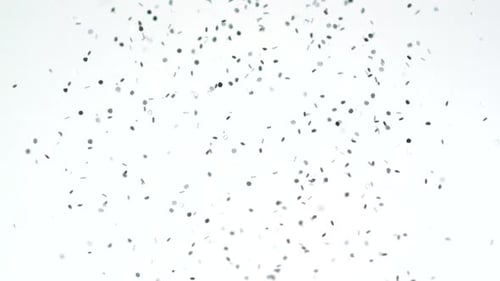 Glitter falling, Slow Motion