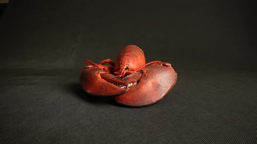 Cooked Lobster 55