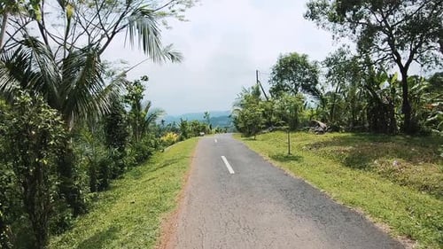 Journey Along Road. Path In Malaysia.
