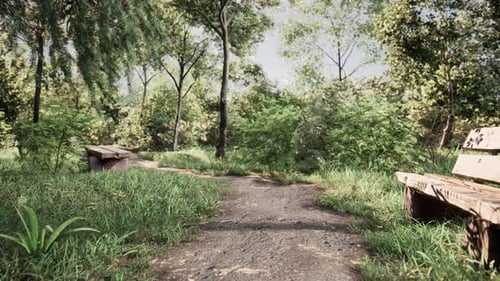 Seating Area on the Valley Walking Trail