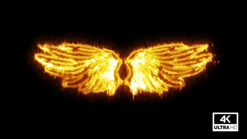 Abstract Fiery Angel Wings Animation Loop