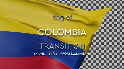 Realistic Flag Reveal Countdown Transition