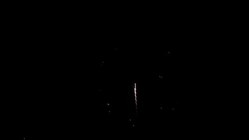 Vibrant Fireworks Exploding in Night Sky Celebration