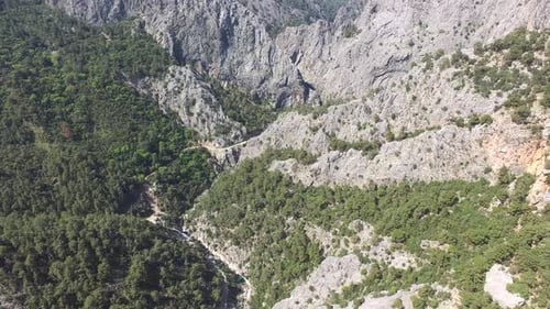 Tiefer felsiger Canyon mit Wald bedeckt