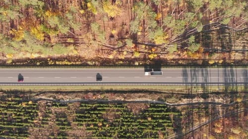 Speedy highway surrounded by fall forest