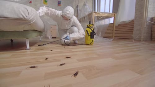 Schädlingsbekämpfer mit Sprühgerät steht zu Hause und unter der Couch