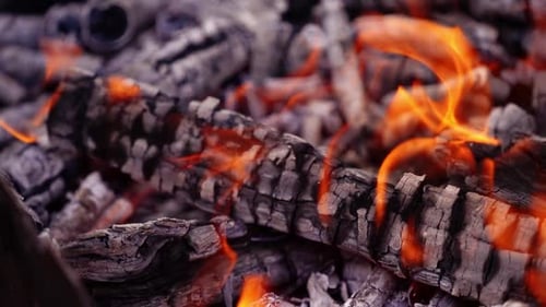 Close Up of Burning Wood and Embers