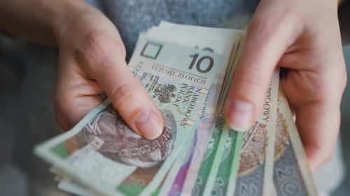 Woman Takes Out of Her Purse and Counts Money Polish Zloty Closeup