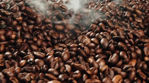 Steaming Roasted Coffee Beans Close Up