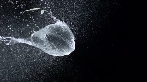 Water Balloon Exploding Against Black Background in Slow Motion
