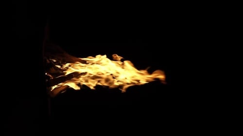 Flames Burning Brightly Against Black Background
