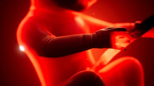 Human Fetus Development in Red Womb Medical Animation