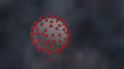 Scientific 3D Model of Rotating Coronavirus Cell