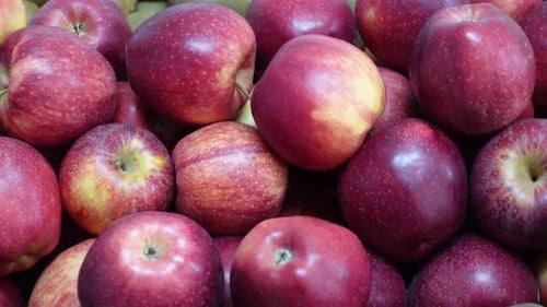 Schöne rote Äpfel