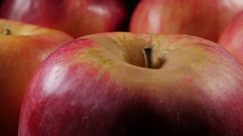 Fruit and food background made of fresh apple details on table slow panning 4K 2160p UltraHD foota
