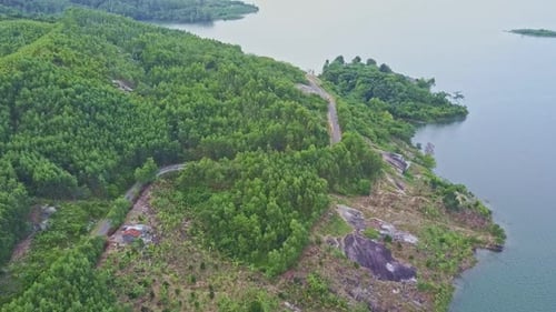 Flycam montre une rivière tranquille avec une forêt tropicale et une route sur la rive