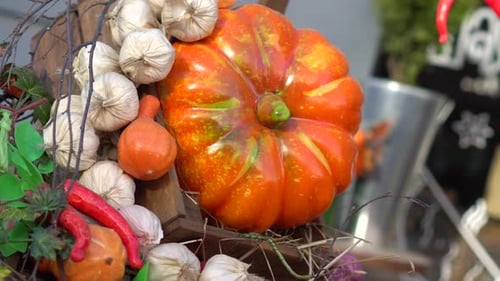Festive Fall Harvest Display with Pumpkins and Gourds