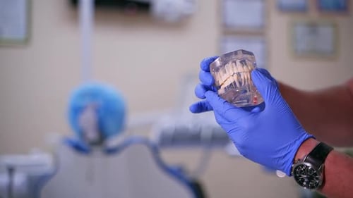 Dental Implant Insertion in Tooth Model