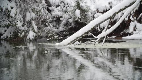 Mit Schnee bedeckte Flussküste. Schneebedeckter Winterpark.