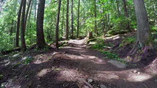 Woman riding unicycle in the forest