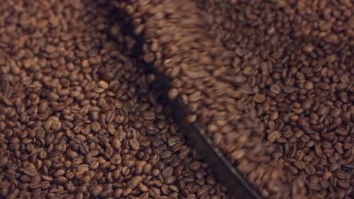 Roasted coffee beans mixed in a machine in a coffee factory