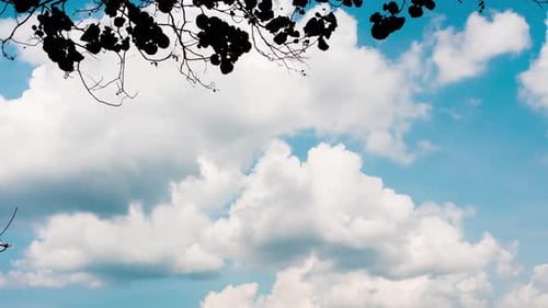 Blue Skies, White Clouds and Tropical Ocean Landscape