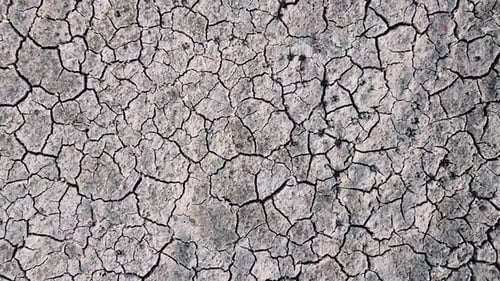 Vertical orientation video: Dried up lake. Cracked soil ground of dried lake or river